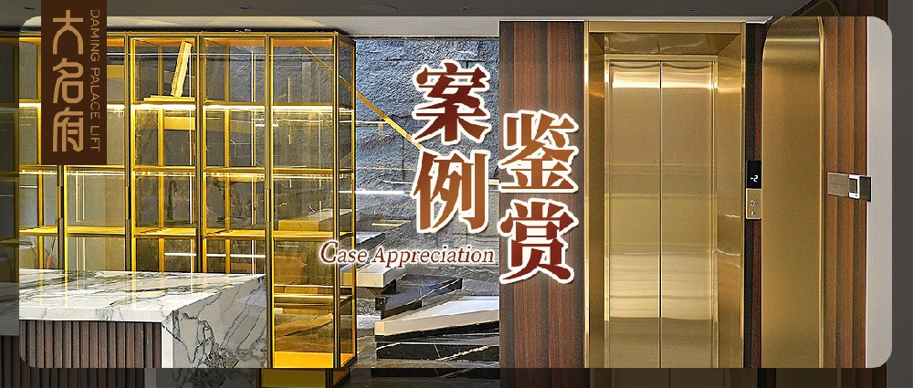 大名府家用電梯案例鑒賞 | 潮流與優(yōu)雅的融合，譜寫浪漫生活樂章