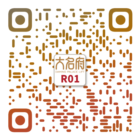 簡約風(fēng)別墅電梯R01