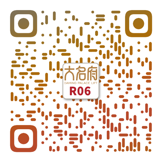 簡約風(fēng)別墅電梯R06